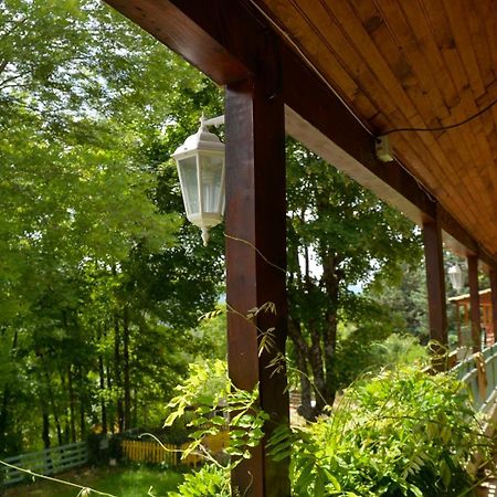 Gite De Montagne Salle De Fete Thorenc Hotel Andon Exterior photo